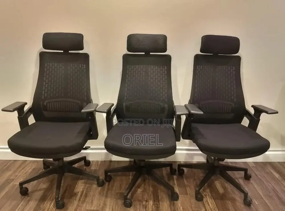 Office Chair : Black Ergonomic Orthopedic Chair