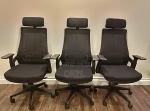 Office Chair : Black Ergonomic Orthopedic Chair