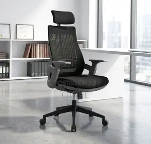 Office Chair : Black Ergonomic Orthopedic Chair