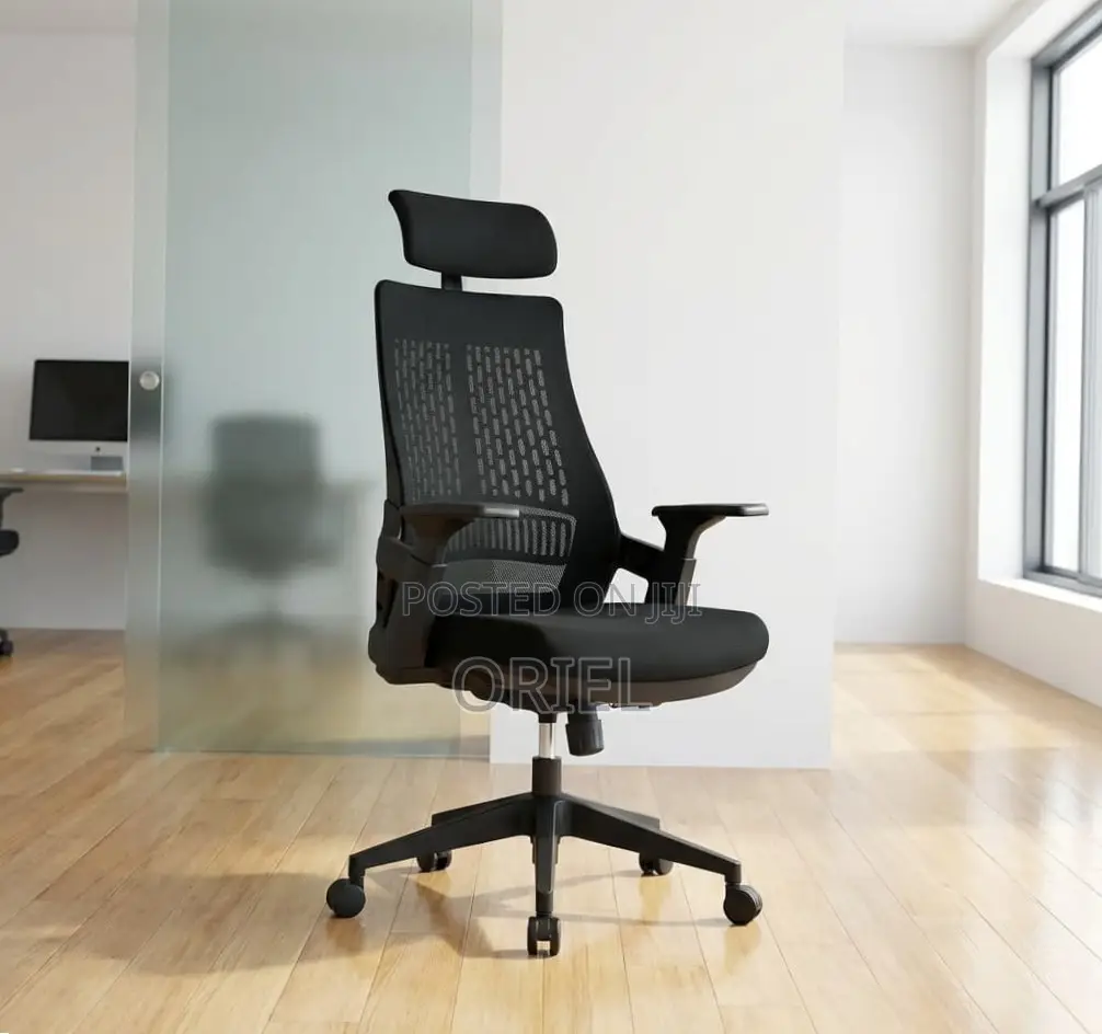 Office Chair : Black Ergonomic Orthopedic Chair