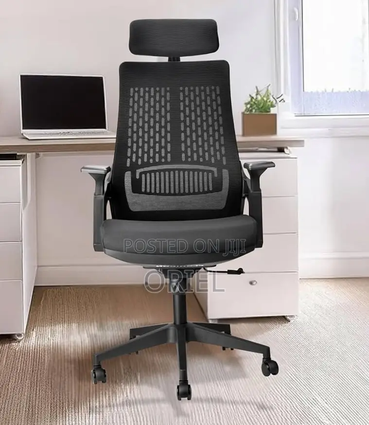 Office Chair : Black Ergonomic Orthopedic Chair