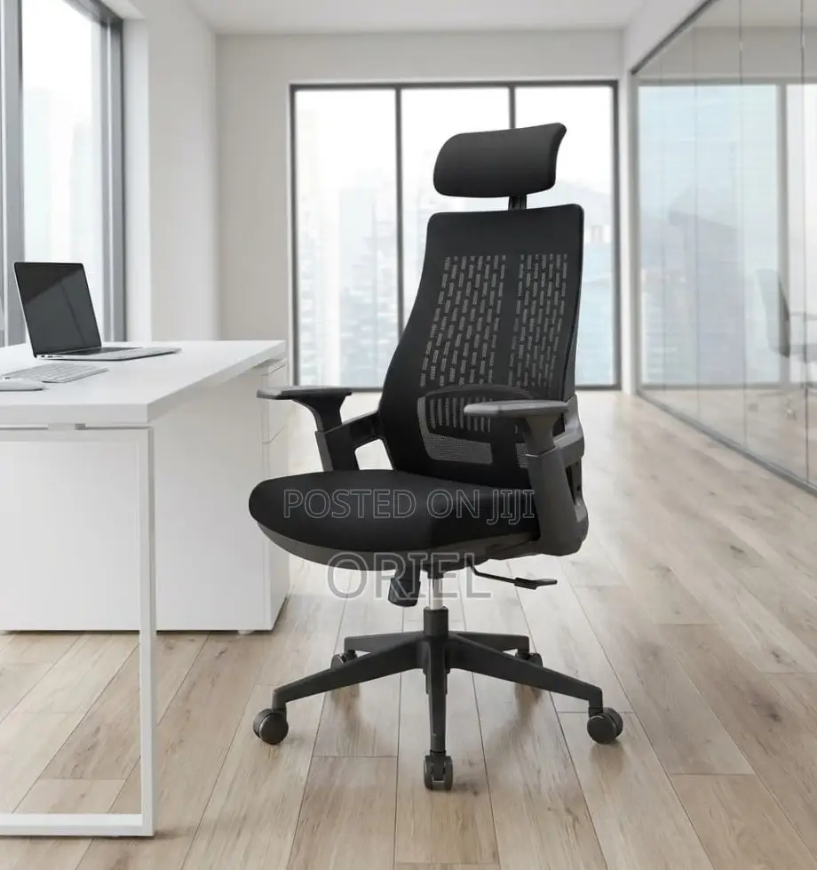 Office Chair : Black Ergonomic Orthopedic Chair