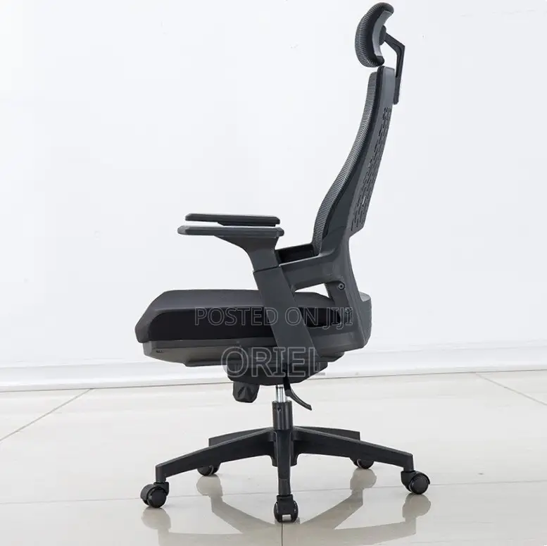 Office Chair : Black Ergonomic Orthopedic Chair