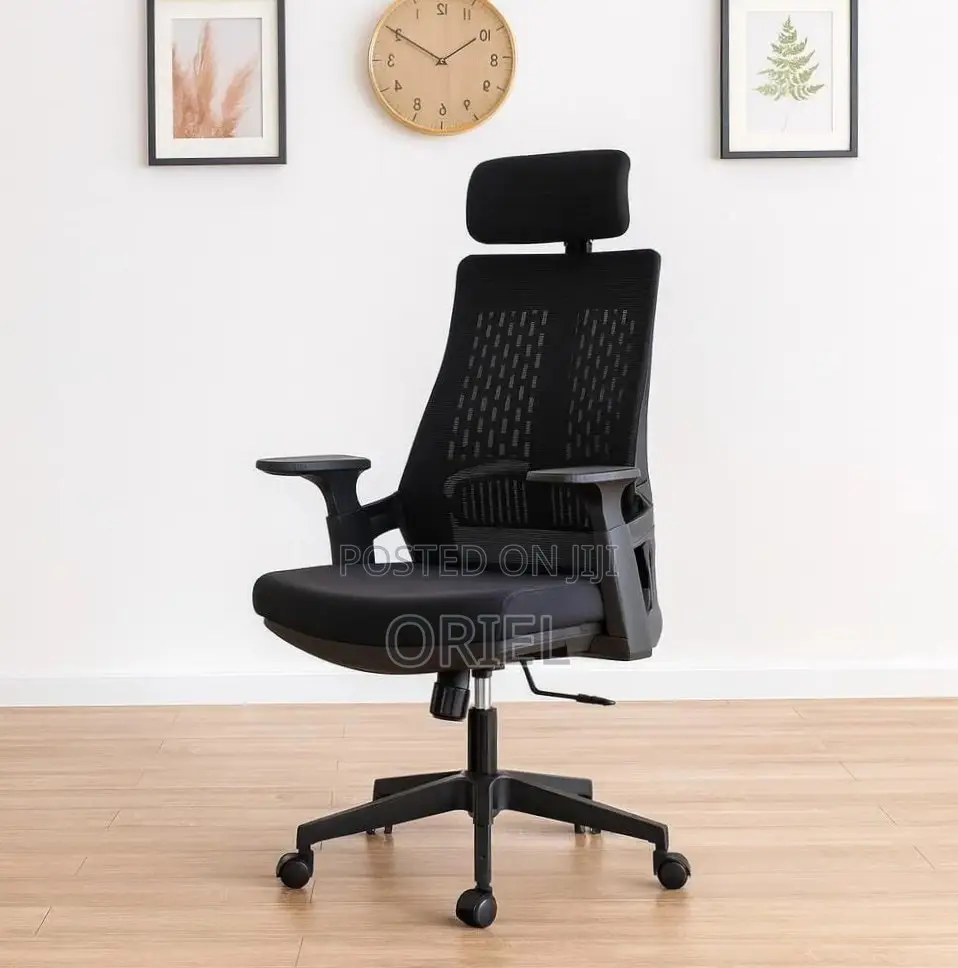 Office Chair : Black Ergonomic Orthopedic Chair