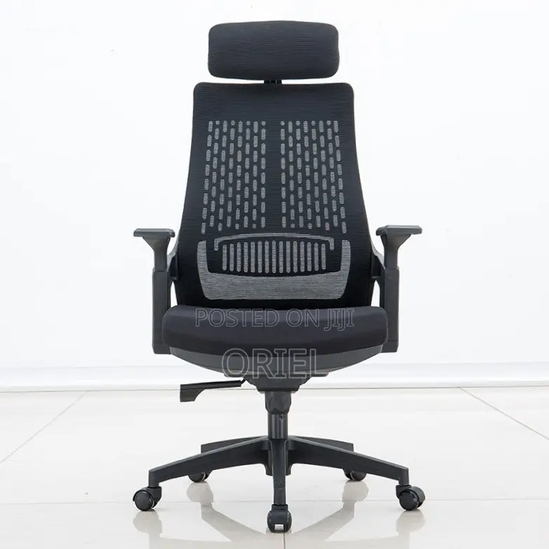 Office Chair : Black Ergonomic Orthopedic Chair