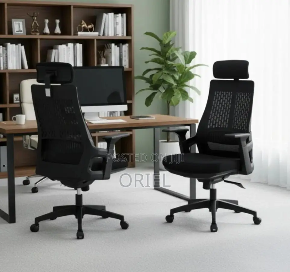 Office Chair : Black Ergonomic Orthopedic Chair