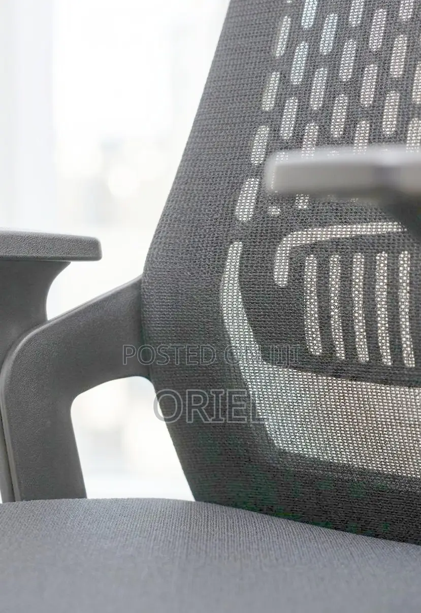 Office Chair : Black Ergonomic Orthopedic Chair