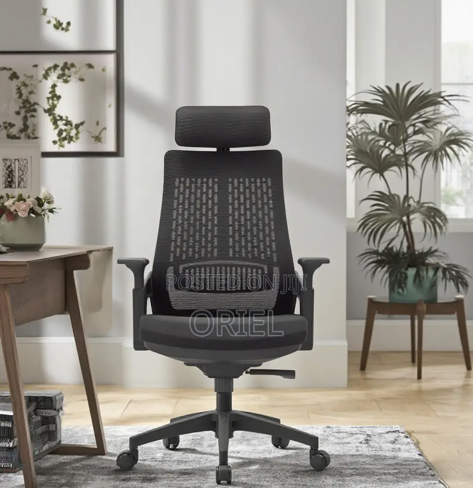 Office Chair : Black Ergonomic Orthopedic Chair
