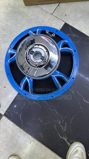 Derwel 15DE 600 Midrange Naked Speakers