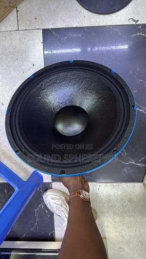Derwel 15DE 600 Midrange Naked Speakers