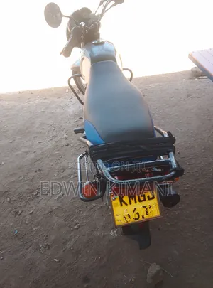 TVS HLX 125 2025 Gold