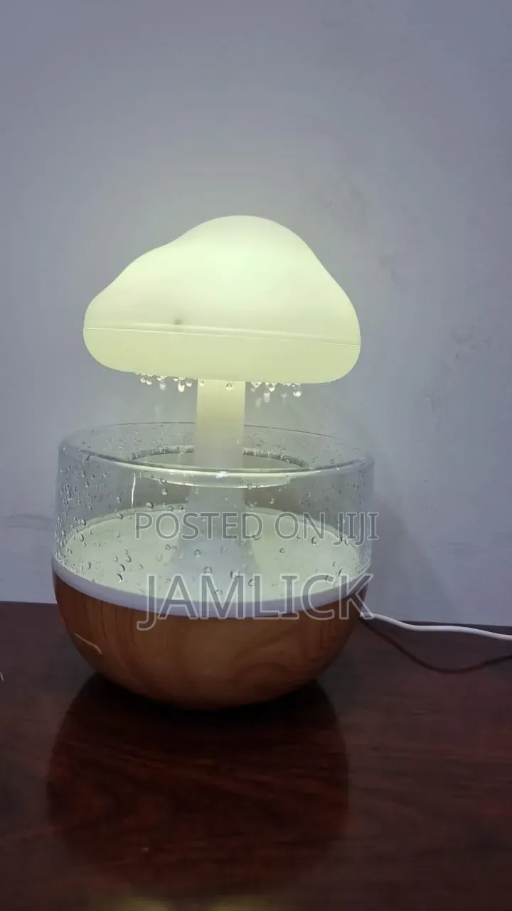 Sound of Rain Rechargeable Cloud Rain Humidifier — Pm