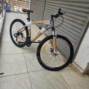 Reset 29 Inch Bicycle – Mountain Bike With Disc Brakes