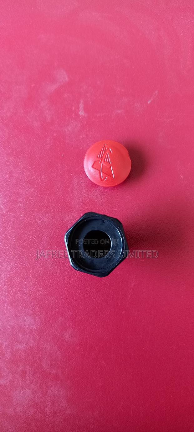 Oil Renew Cap - thumbnail 3