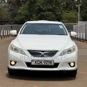 Toyota Mark X 2009 White