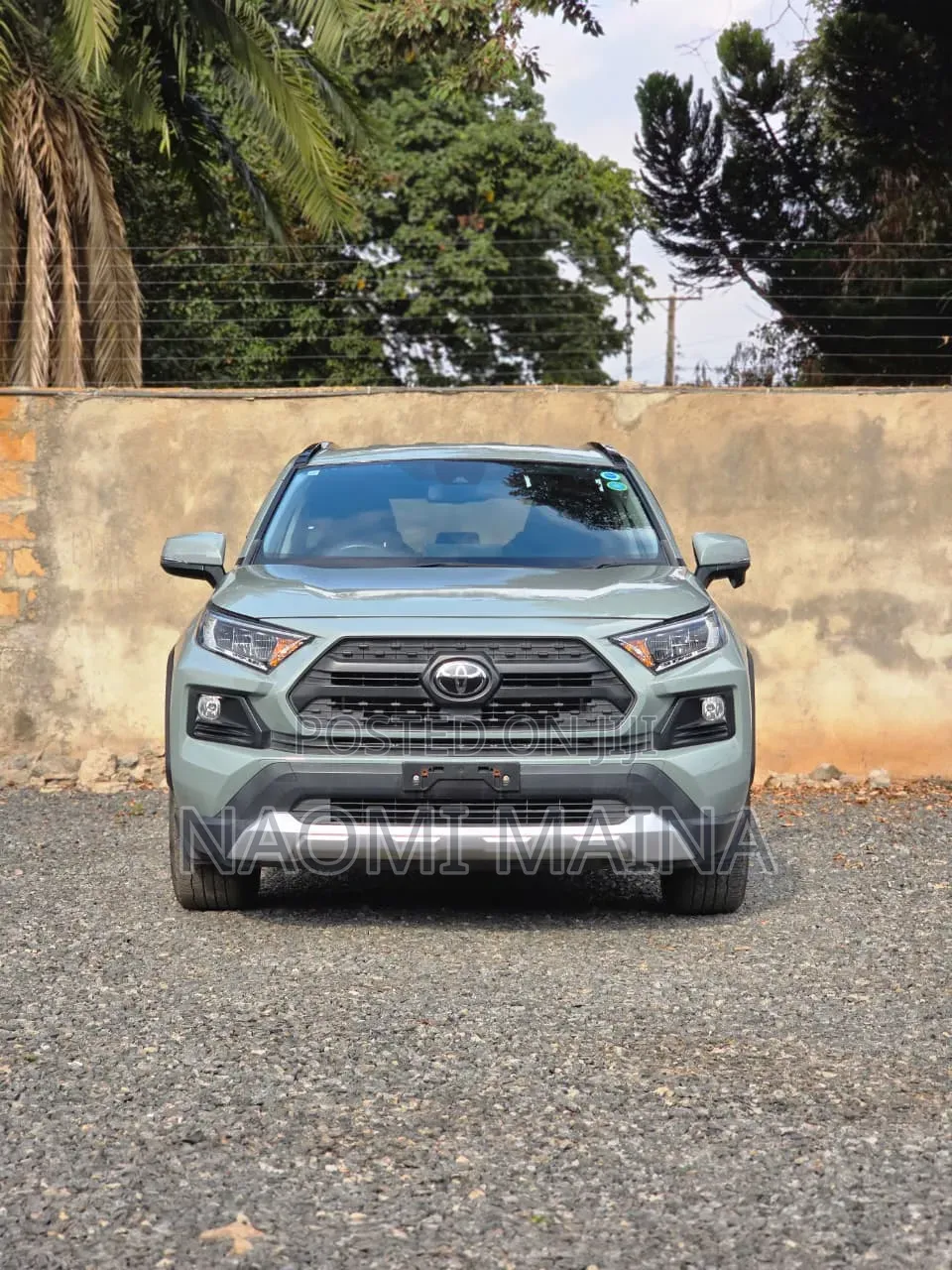 Toyota RAV4 Adventure 2019