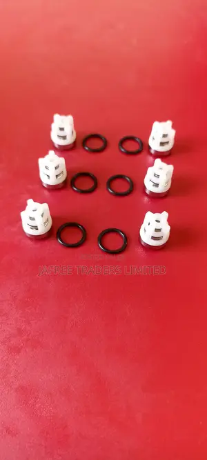 Checking Valve