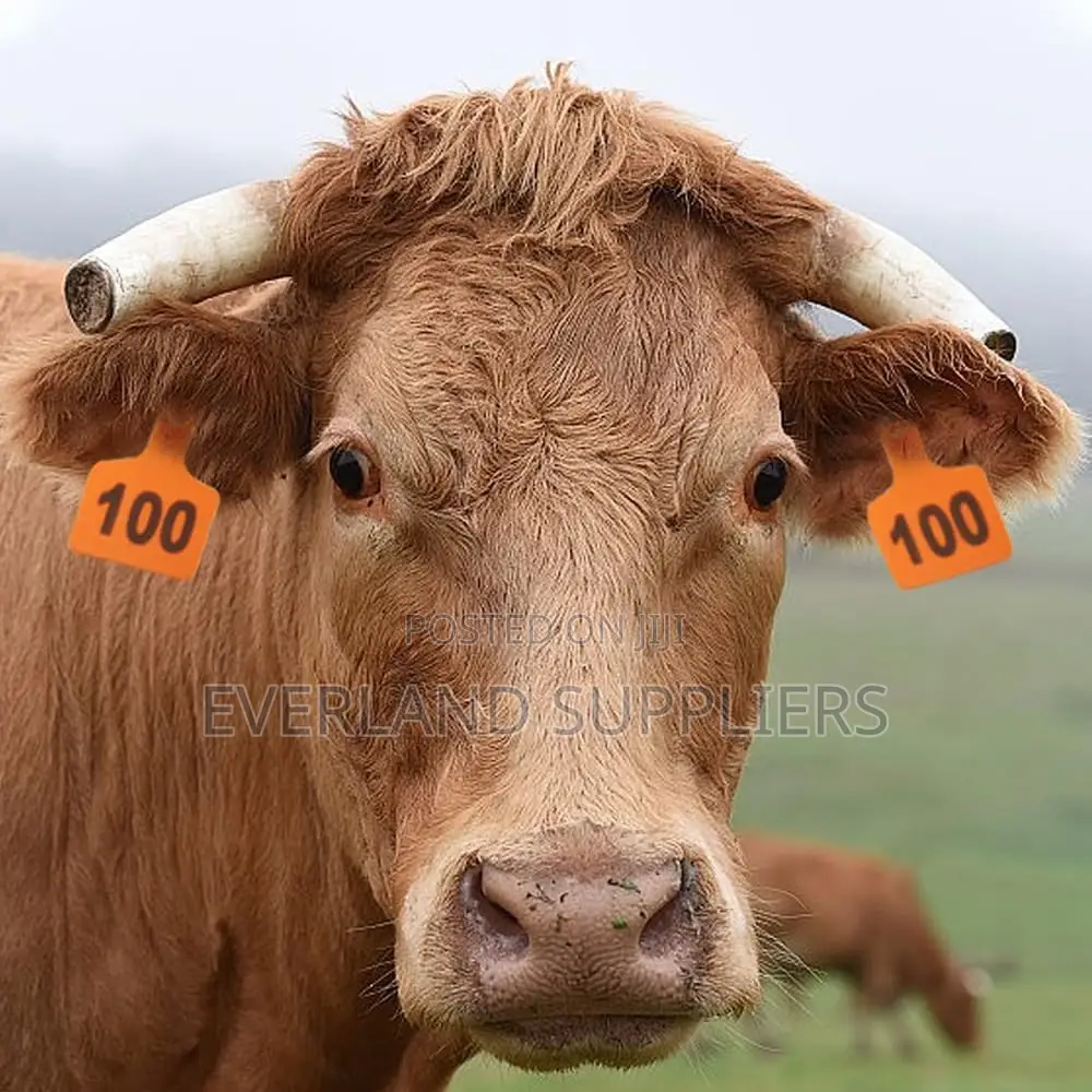 Herd Movement Large Numbered Ear Tags