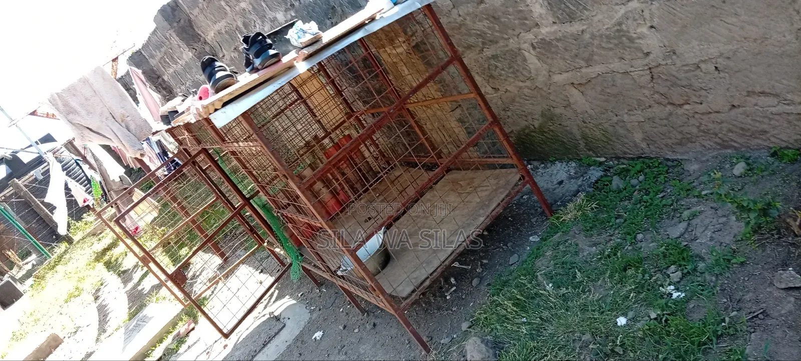 Dog Kennel