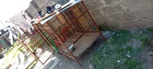 Dog Kennel