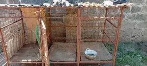 Dog Kennel