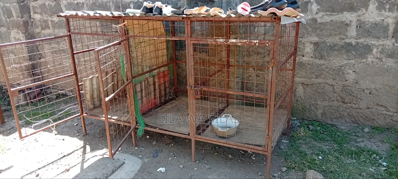 Dog Kennel