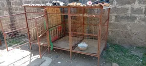 Dog Kennel