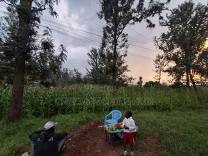 50*100 Plots for Sale in Maziwa Off Northern Bypass