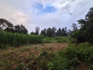 50*100 Plots for Sale in Maziwa Off Northern Bypass