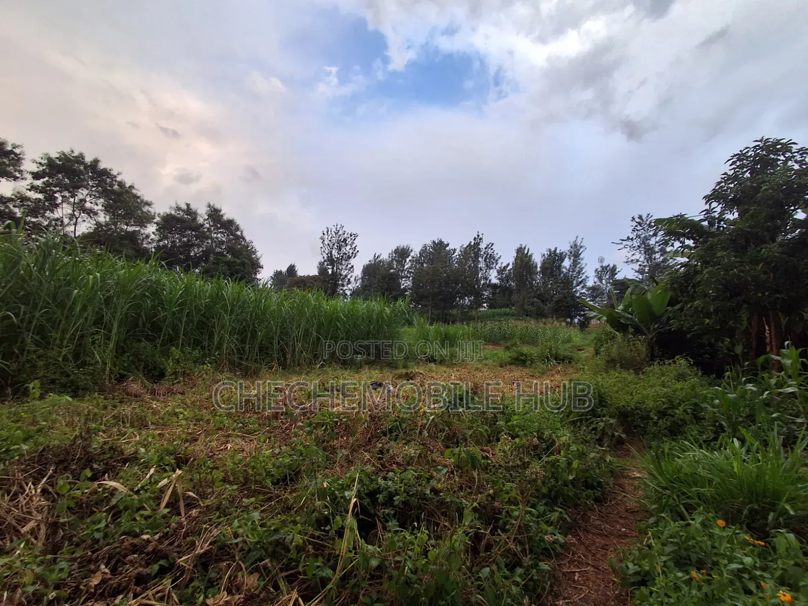 50*100 Plots for Sale in Maziwa Off Northern Bypass