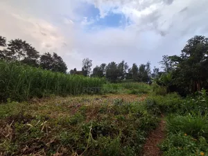 50*100 Plots for Sale in Maziwa Off Northern Bypass