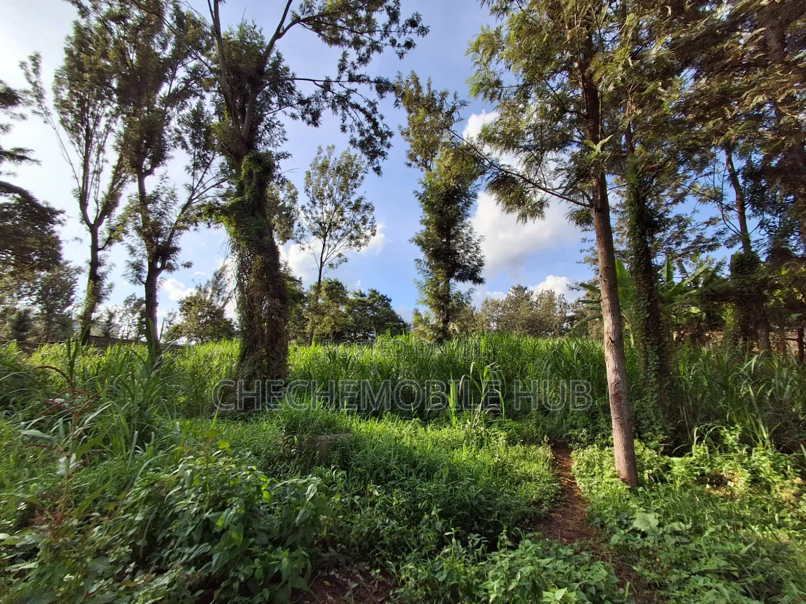 50*100 Plots for Sale in Maziwa Off Northern Bypass