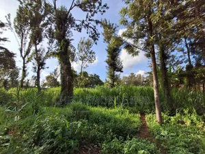 50*100 Plots for Sale in Maziwa Off Northern Bypass