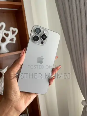 Apple iPhone 15 Pro Max 256 GB Gray