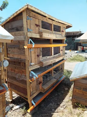 Chicken Coop/Cage
