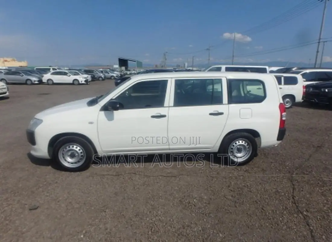 Toyota Probox 2021 Pearl