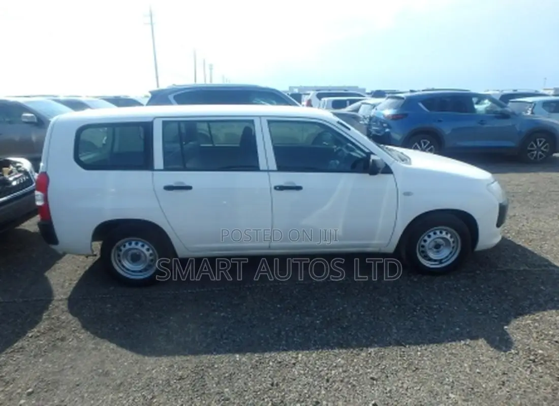 Toyota Probox 2021 Pearl