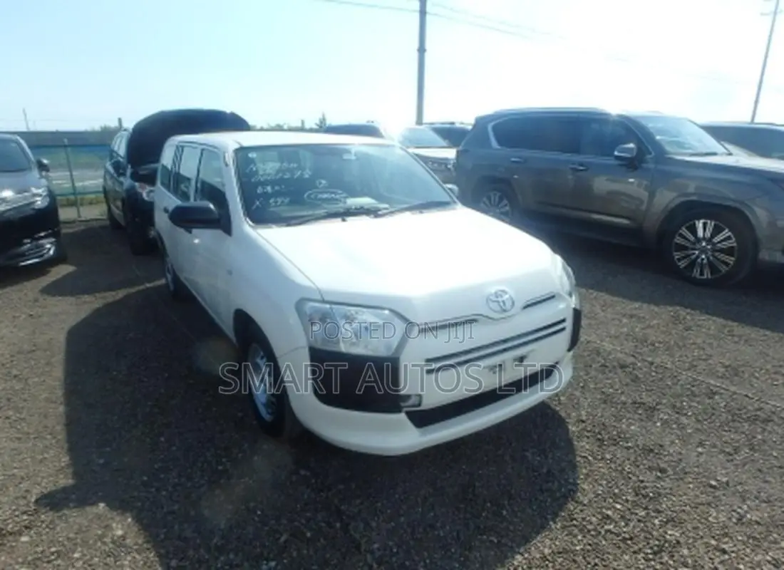 Toyota Probox 2021 Pearl