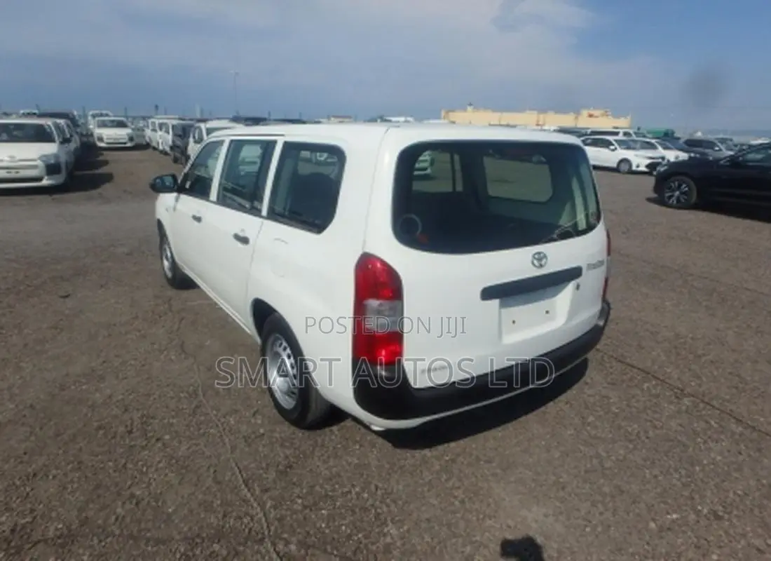 Toyota Probox 2021 Pearl