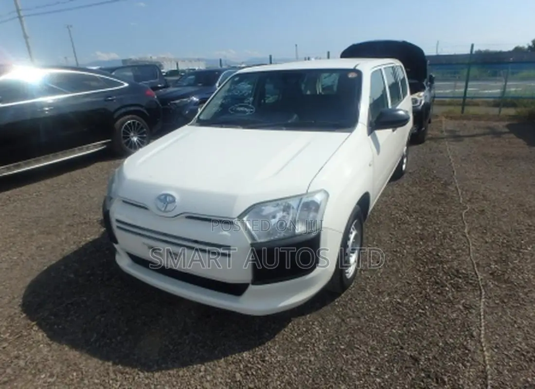 Toyota Probox 2021 Pearl