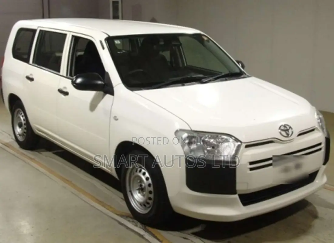 Toyota Probox 2021 Pearl