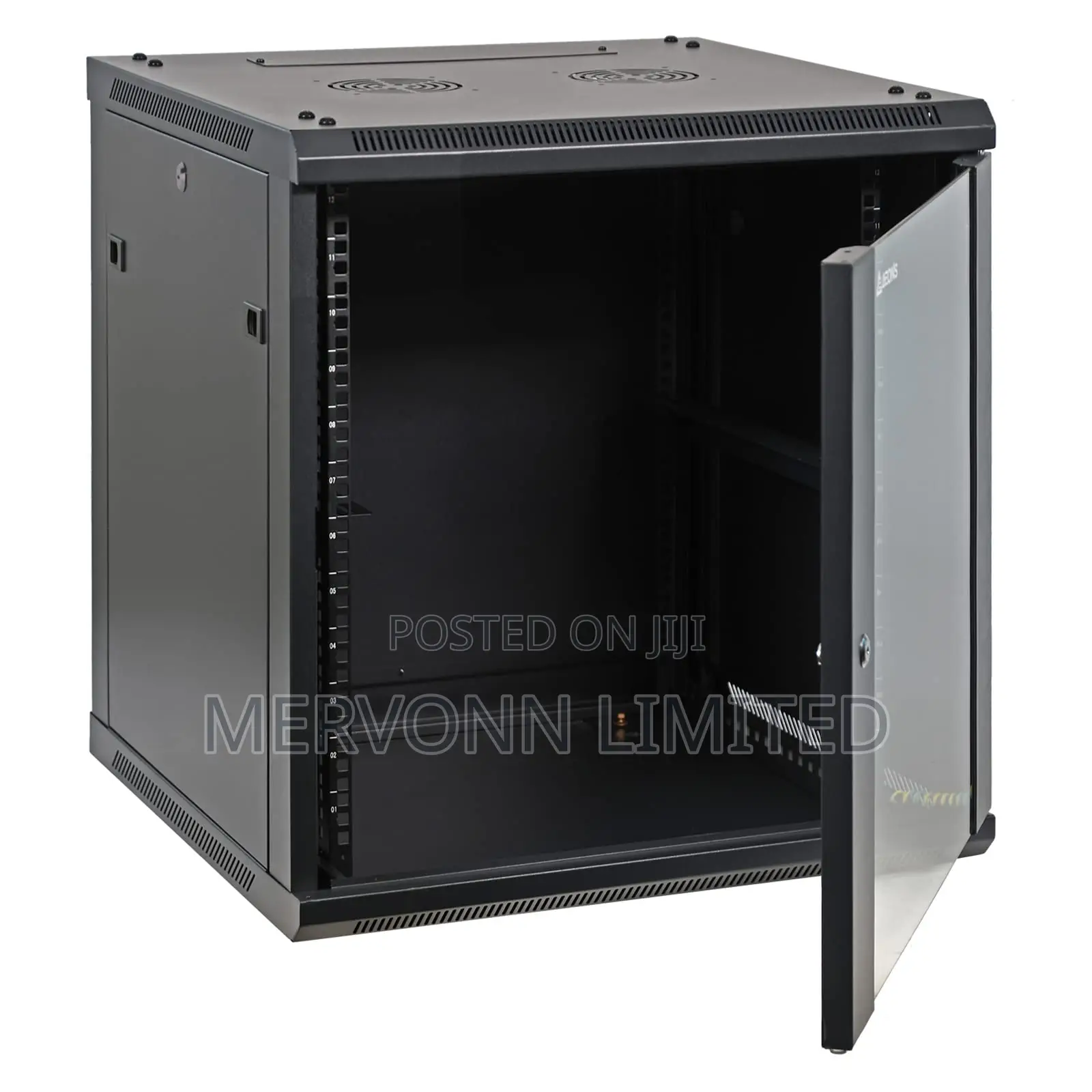 Professional 12U Wall-Mount Network Cabinet