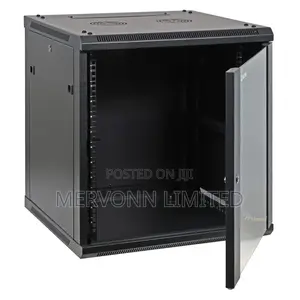 Professional 12U Wall-Mount Network Cabinet