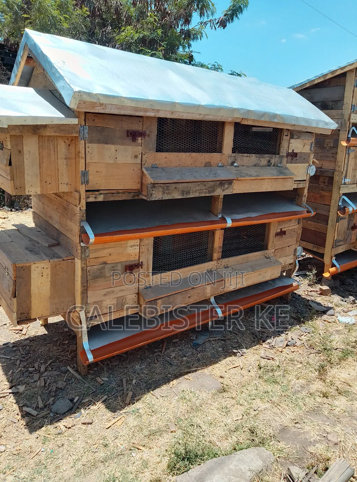 Double Cage - Self-Cleaning Coop