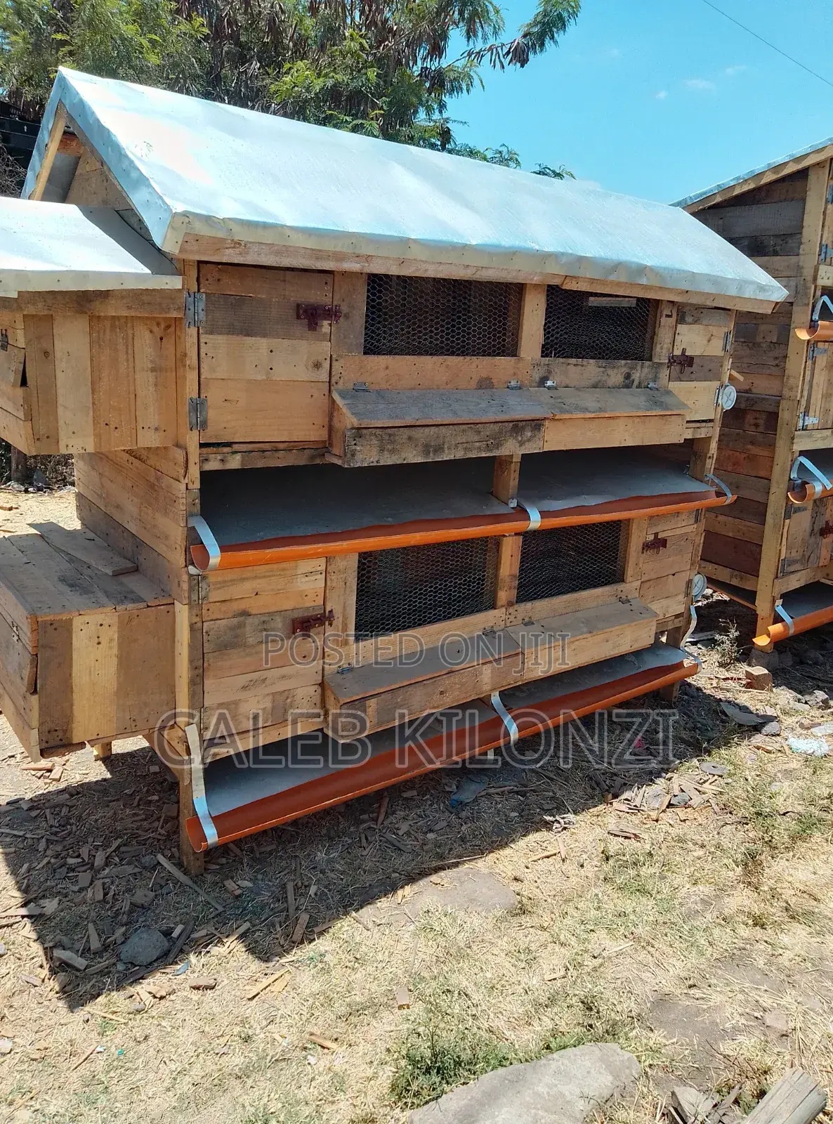 Double Cage - Self-Cleaning Coop