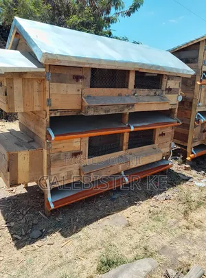 Double Cage - Self-Cleaning Coop