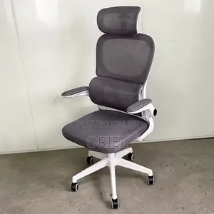 Modern Ergonomic Office Chair : Mesh High Back Chair