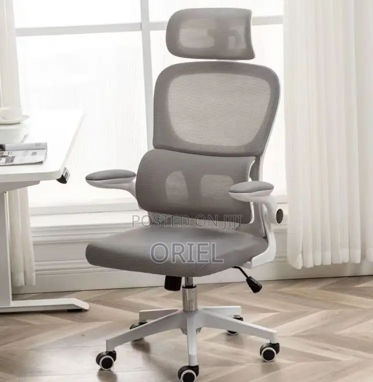 Modern Ergonomic Office Chair : Mesh High Back Chair