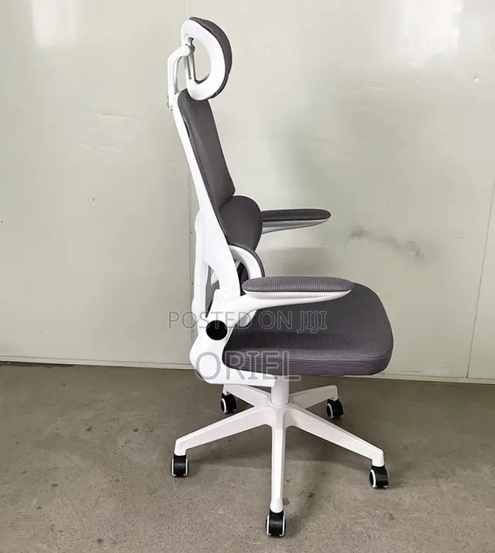 Modern Ergonomic Office Chair : Mesh High Back Chair