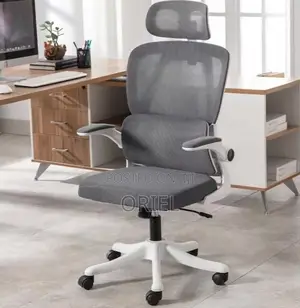 Modern Ergonomic Office Chair : Mesh High Back Chair